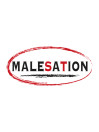 Malesation